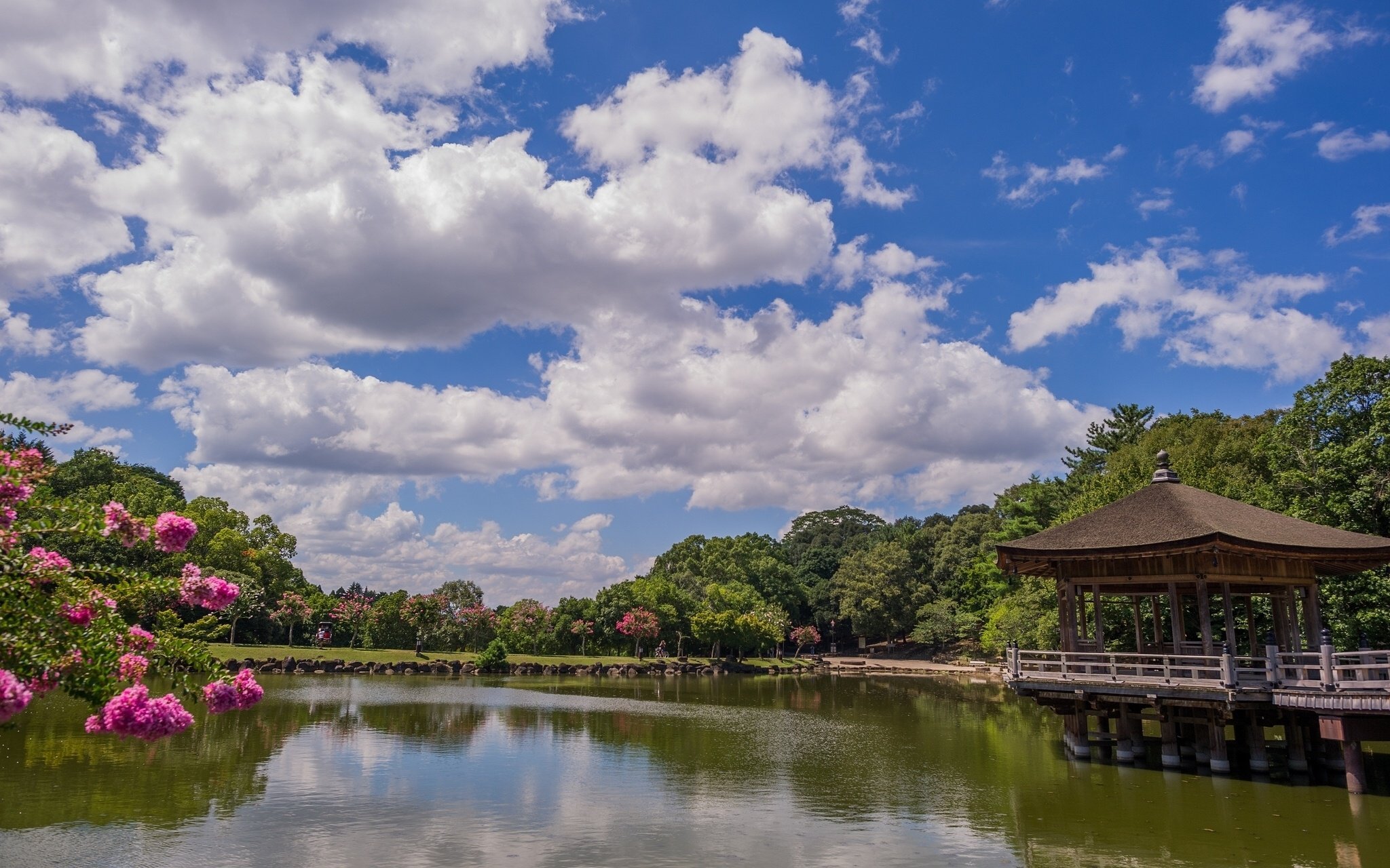 🏞️ 나카가와 강변 공원 (나카가와카한코엔) 이미지 7